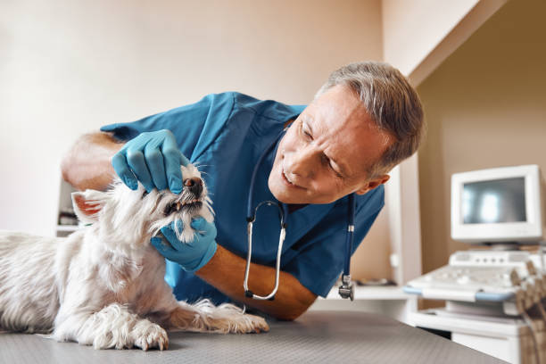 Best Emergency Tooth Extraction in Brooklyn, NY